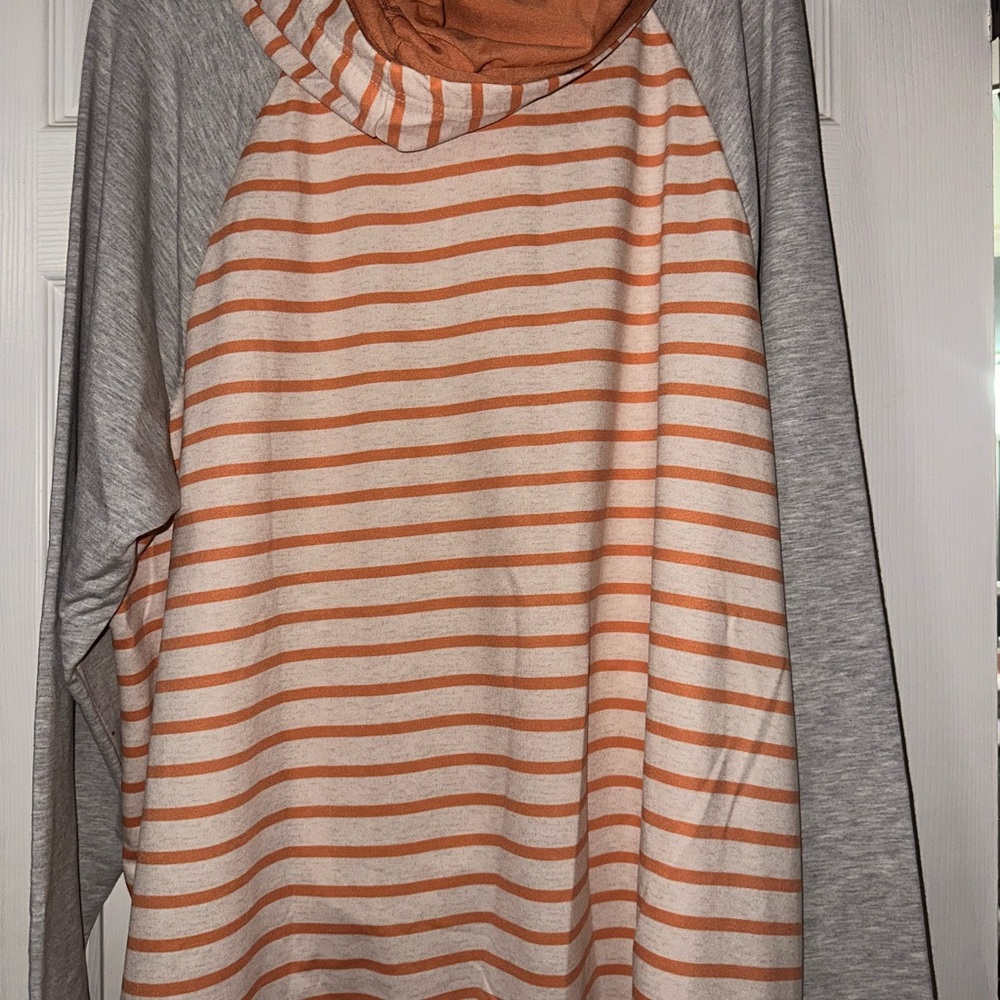 Striped Hoodie with Gray Sleeves - Picture 2 of 4